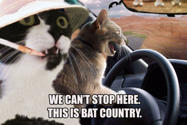 http://www.digyourowngrave.com/content/fear_and_loathing_cats.jpg